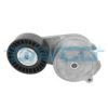 DAYCO APV2797 Belt Tensioner, v-ribbed belt